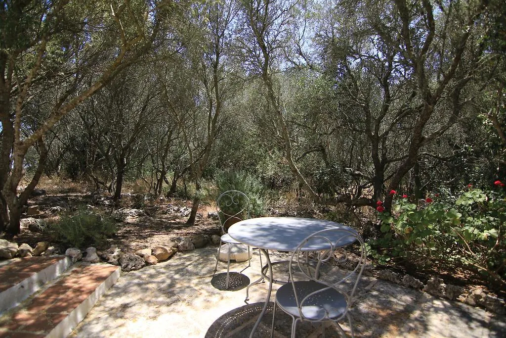 Farm stay Agroturismo Matxani Gran Villa Sant Climent