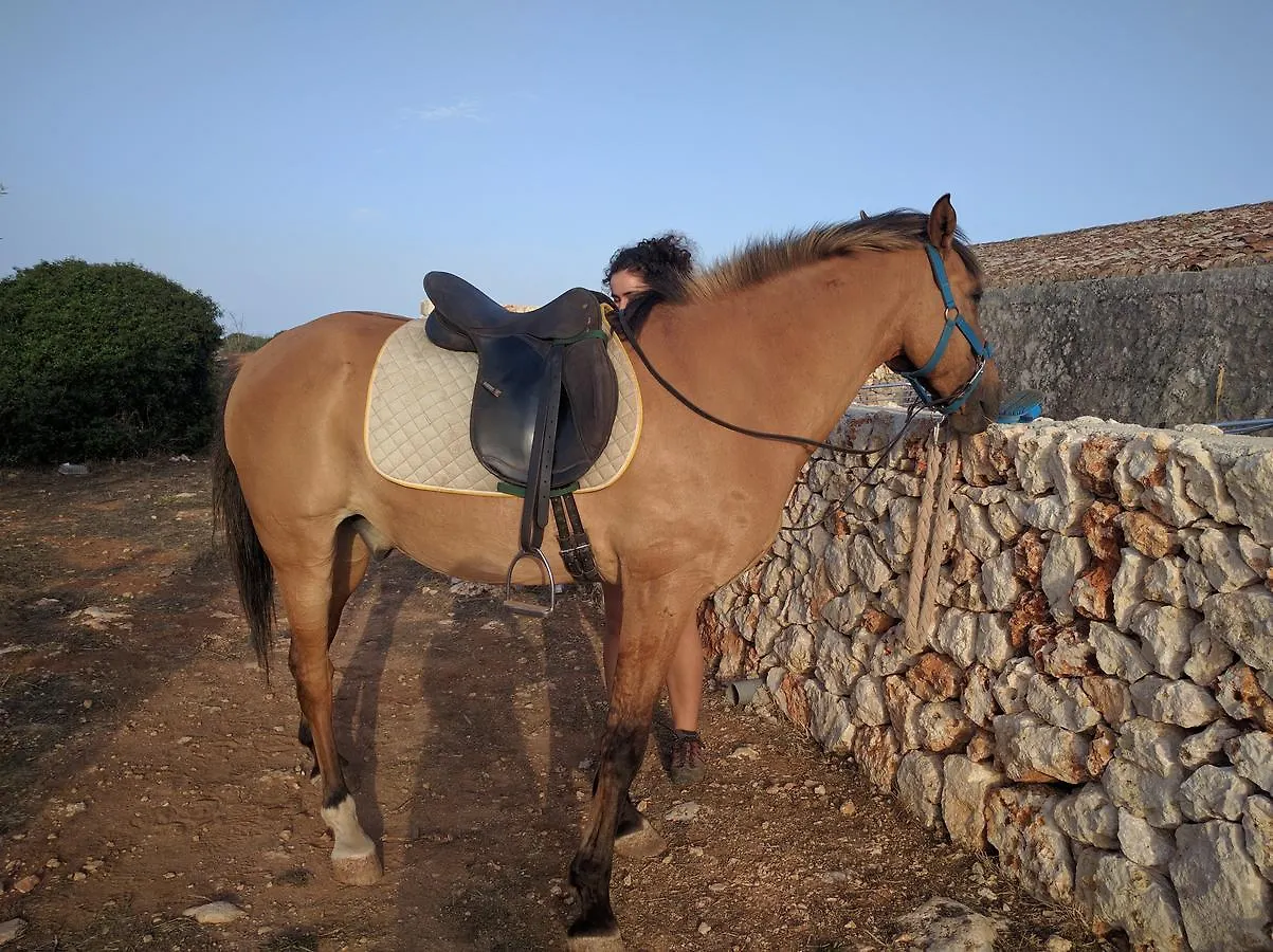 Agroturismo Matxani Gran Villa Sant Climent 0*,