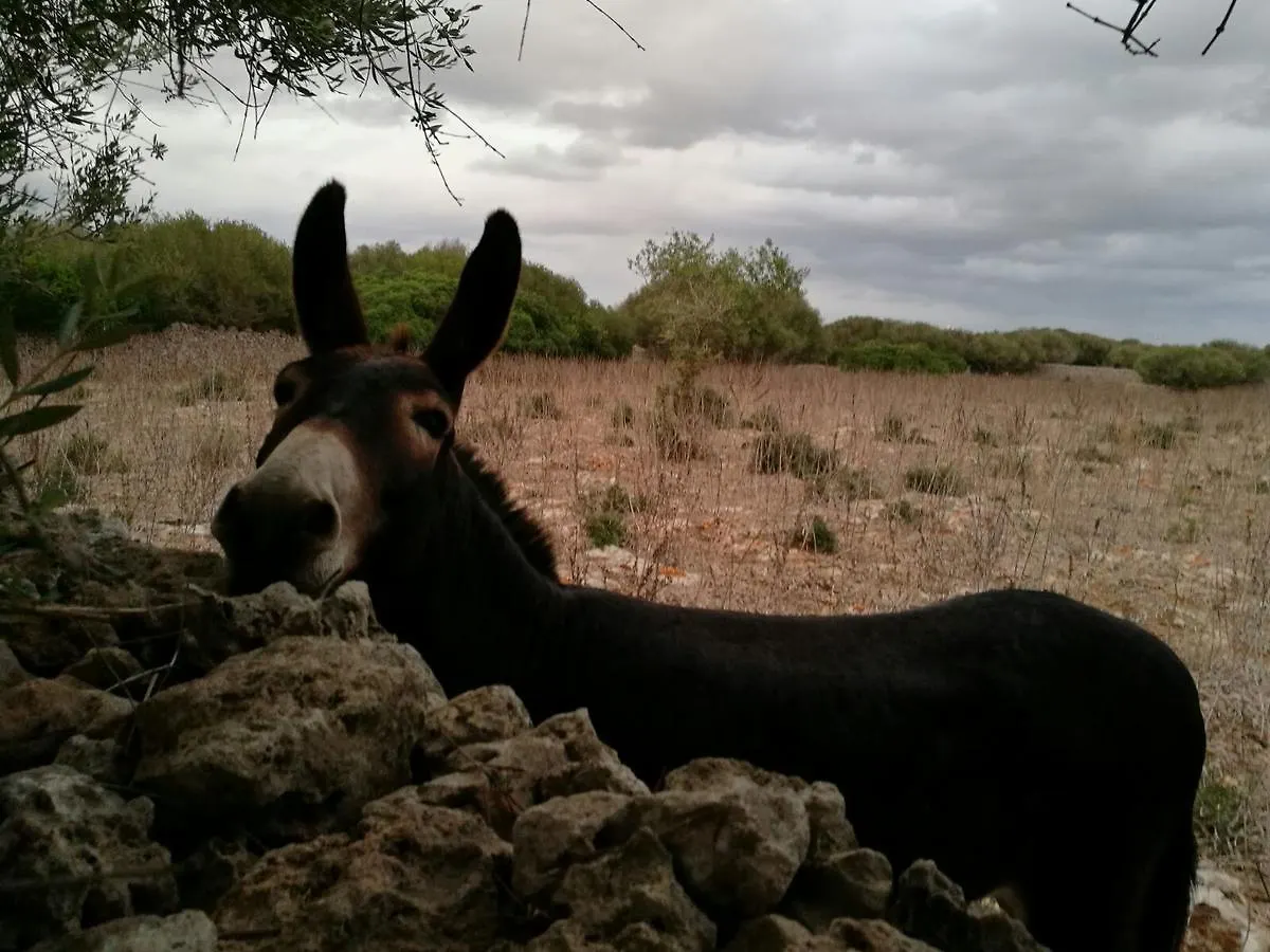 Agroturismo Matxani Gran Villa Sant Climent